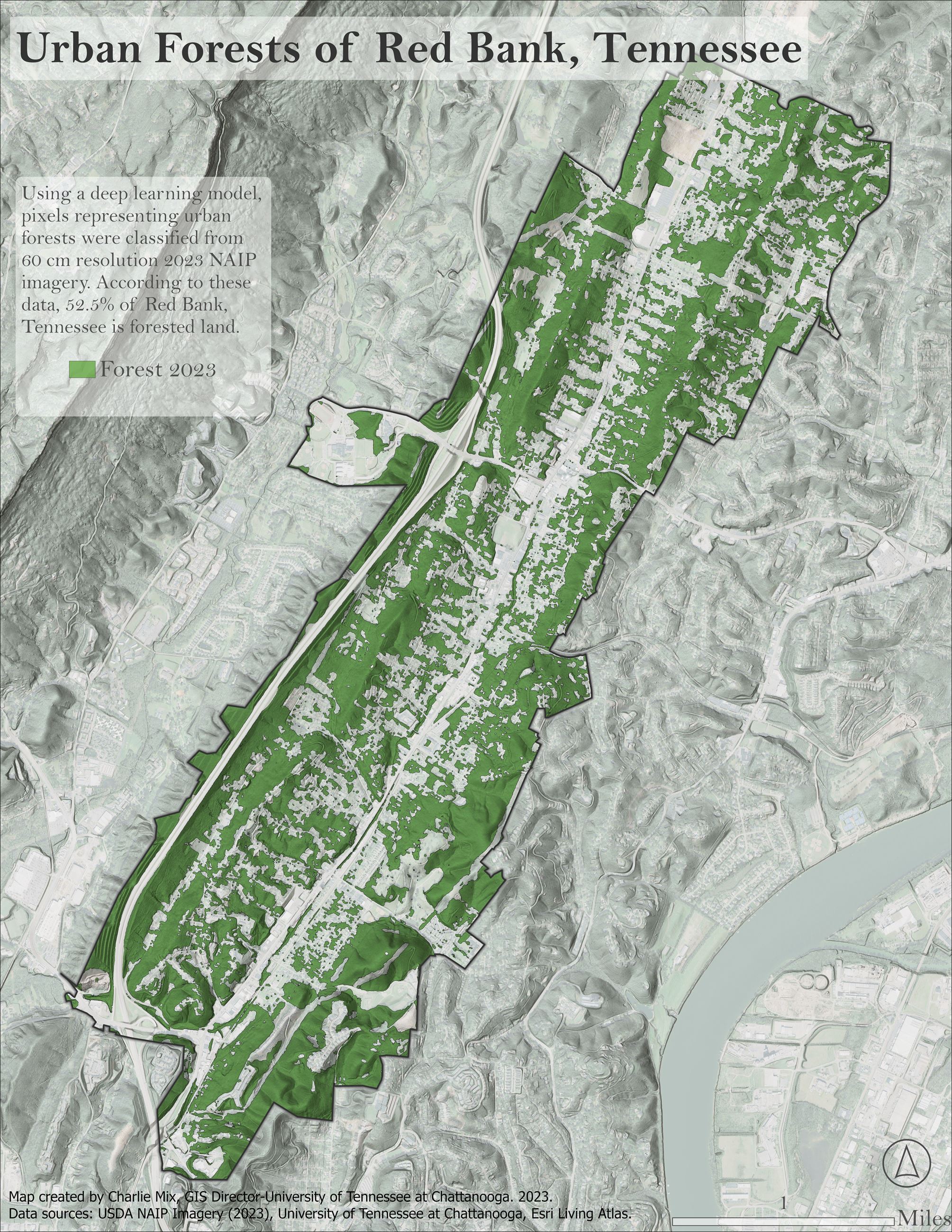 Red bank Forest 2023