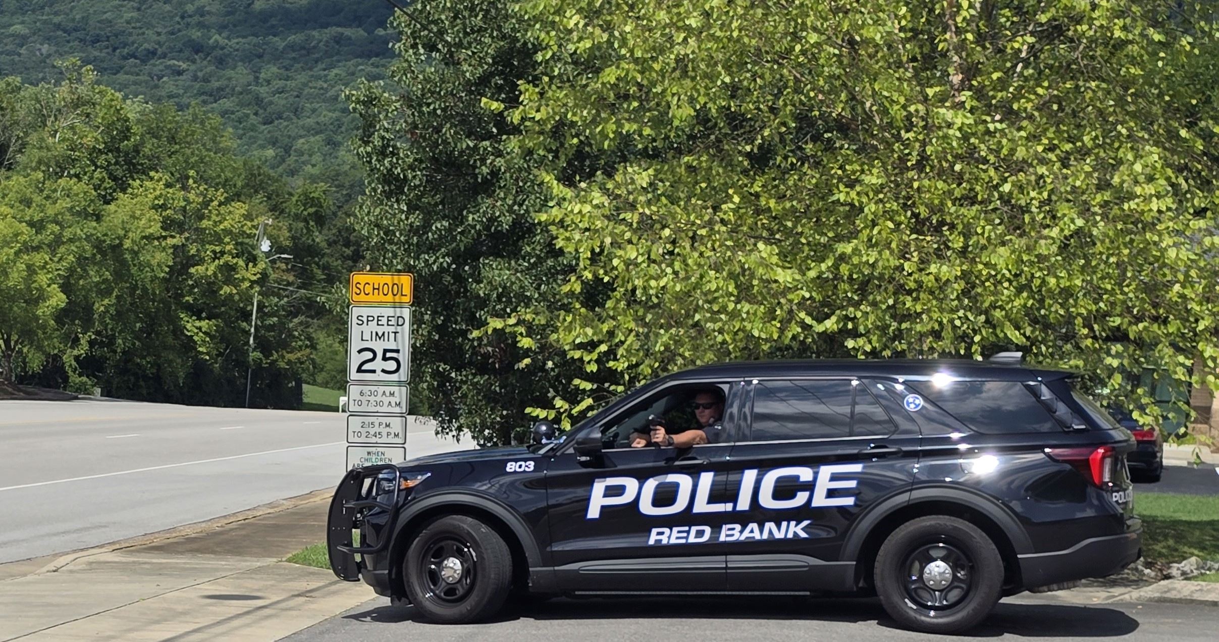 Morrison Springs - Cropped